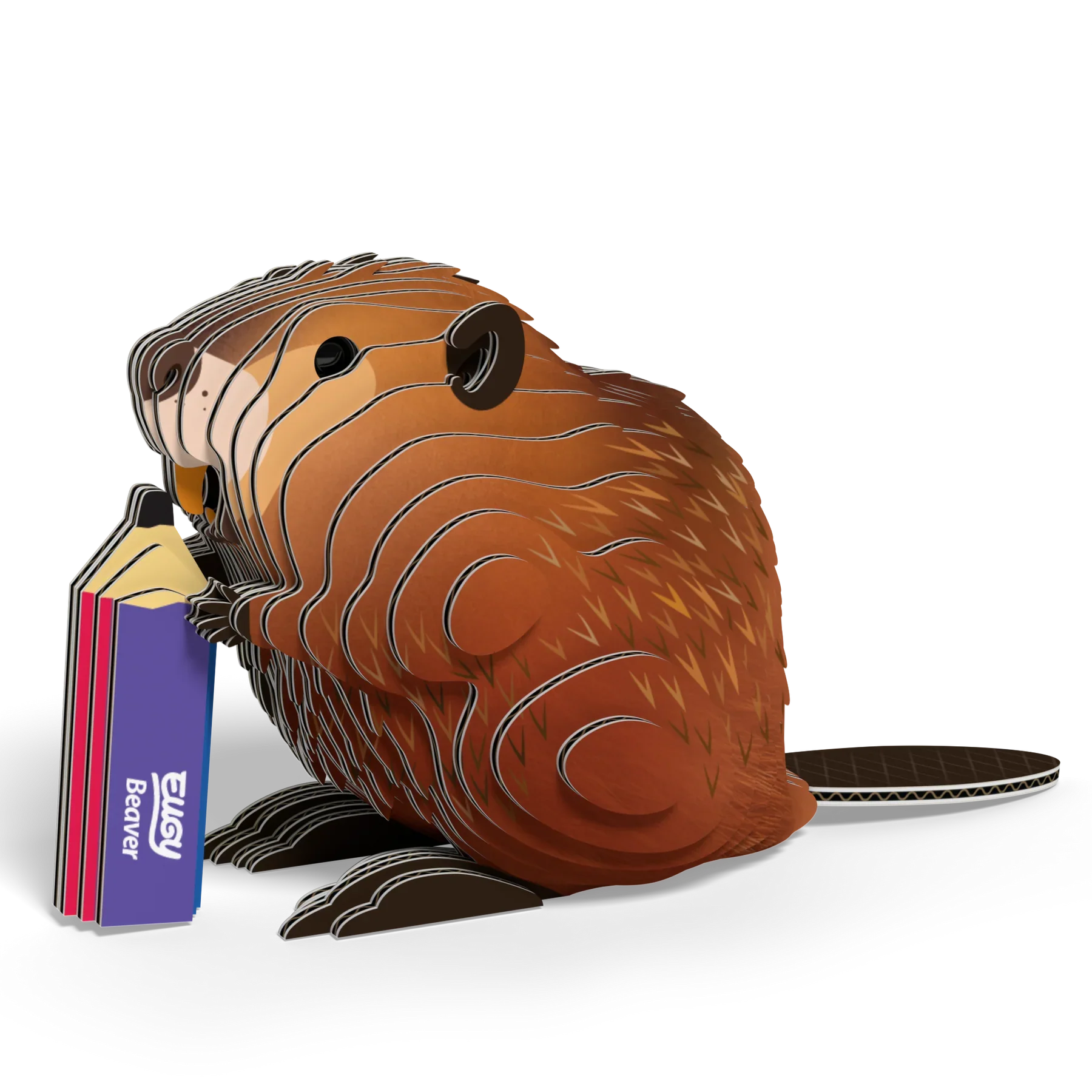 EUGY | Beaver