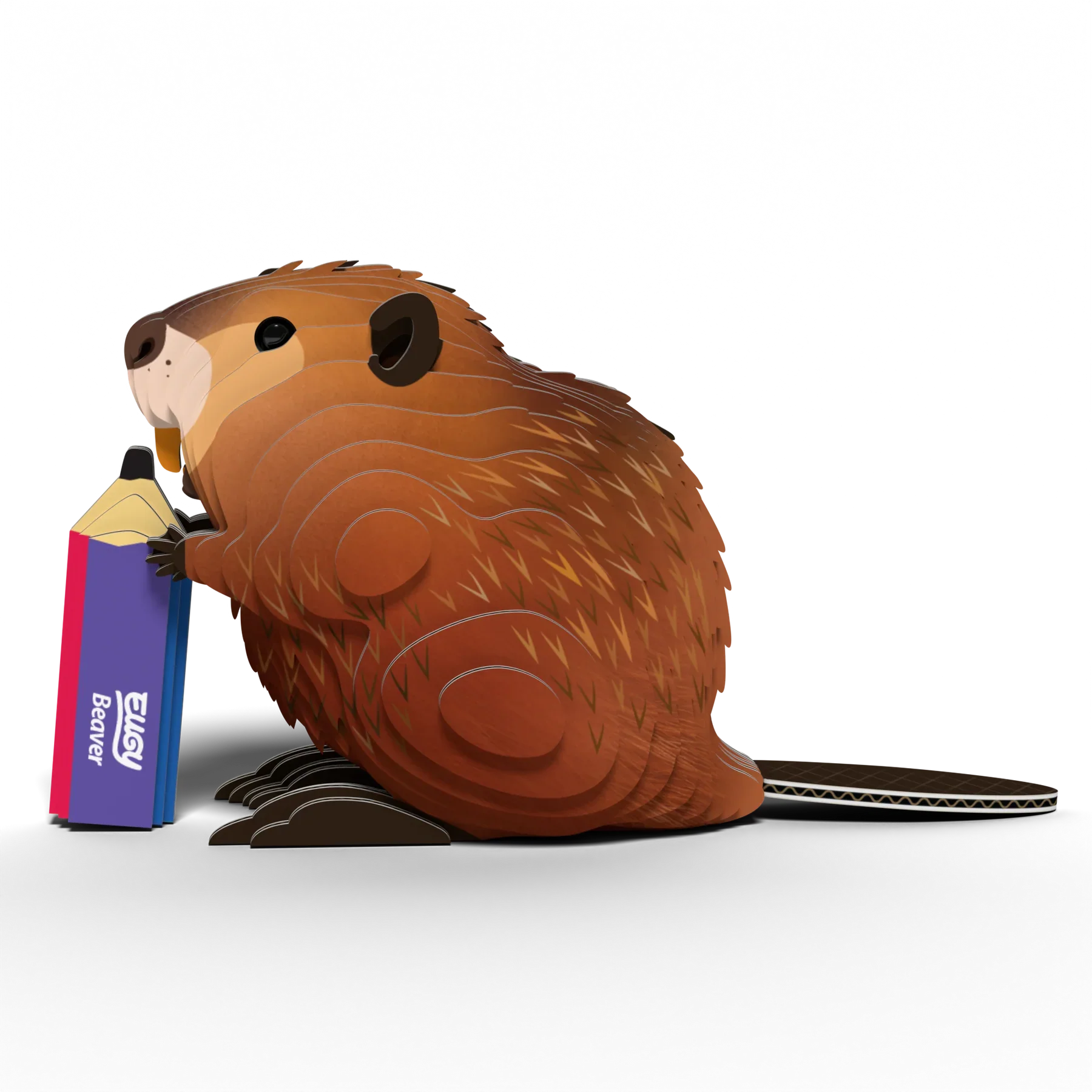 EUGY | Beaver - Image 3