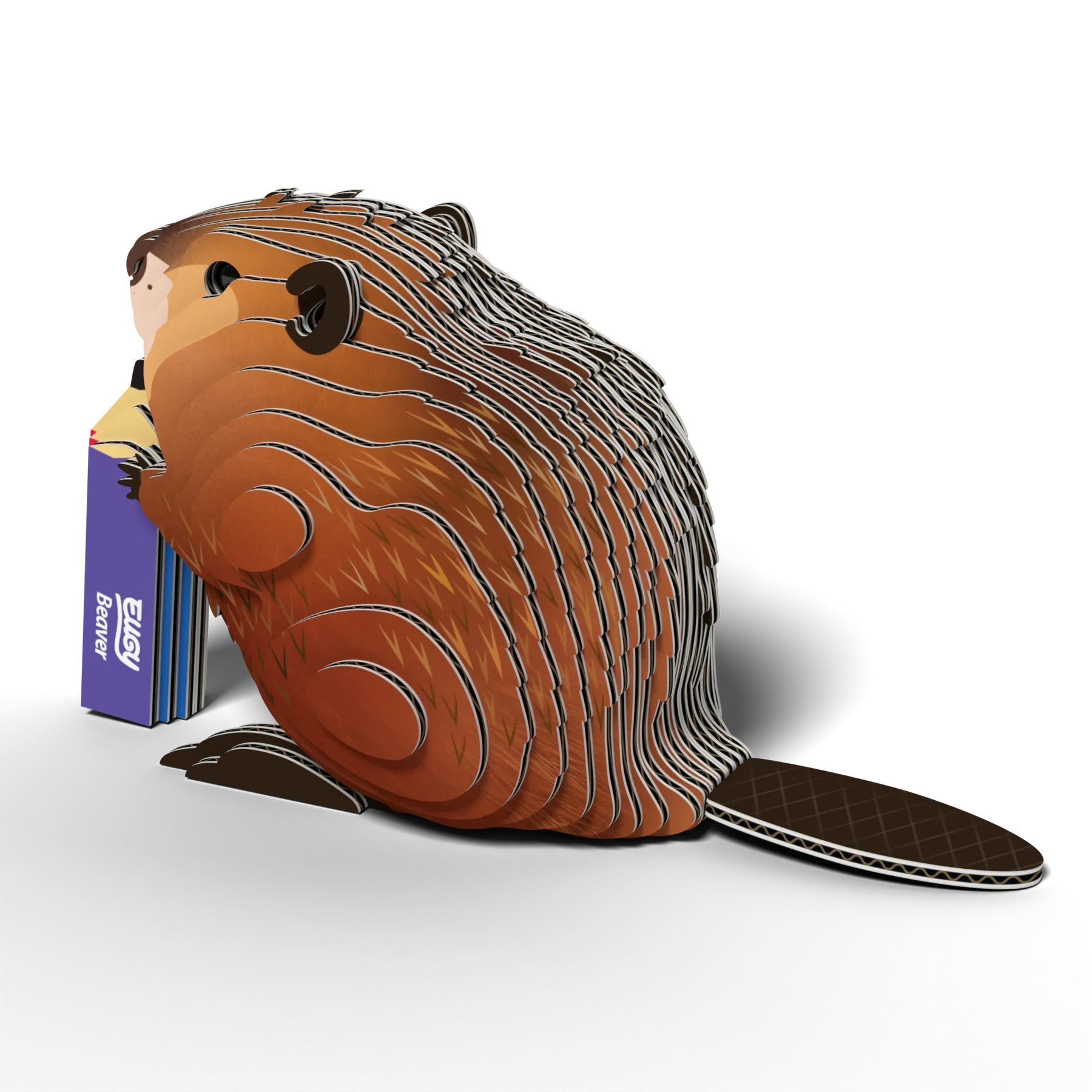 EUGY | Beaver - Image 4