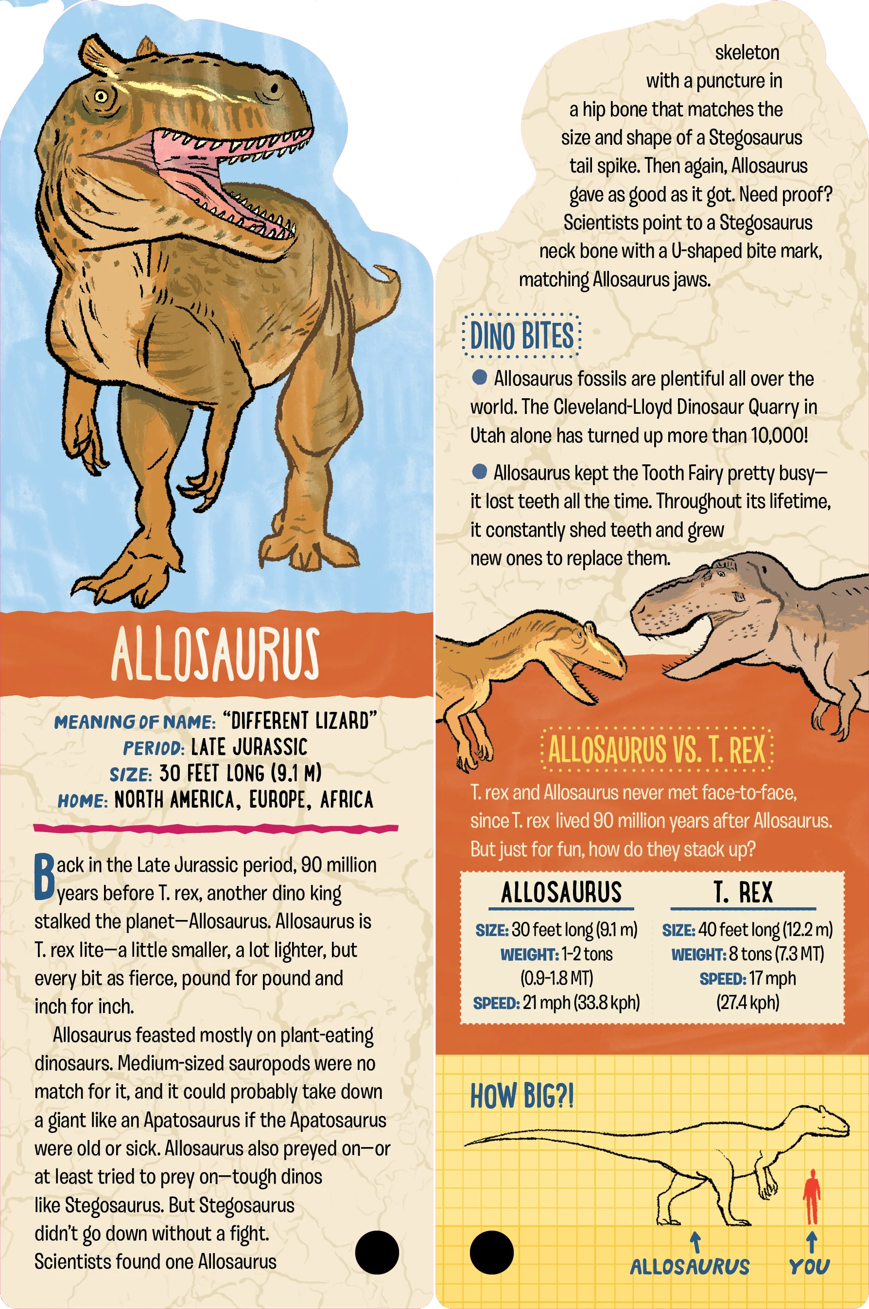 Fandex Kids: Dinosaurs - Image 2