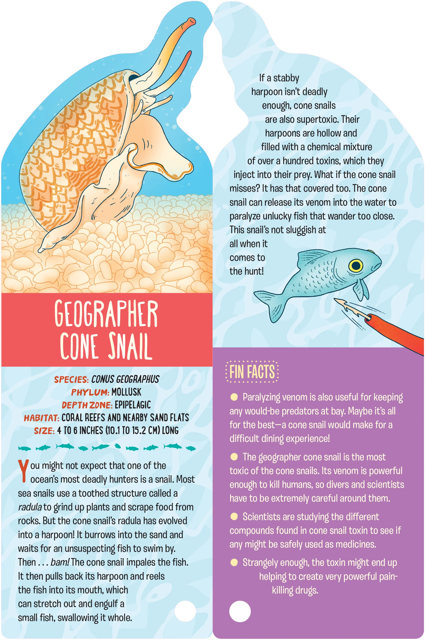 Fandex Kids: Ocean - Image 3