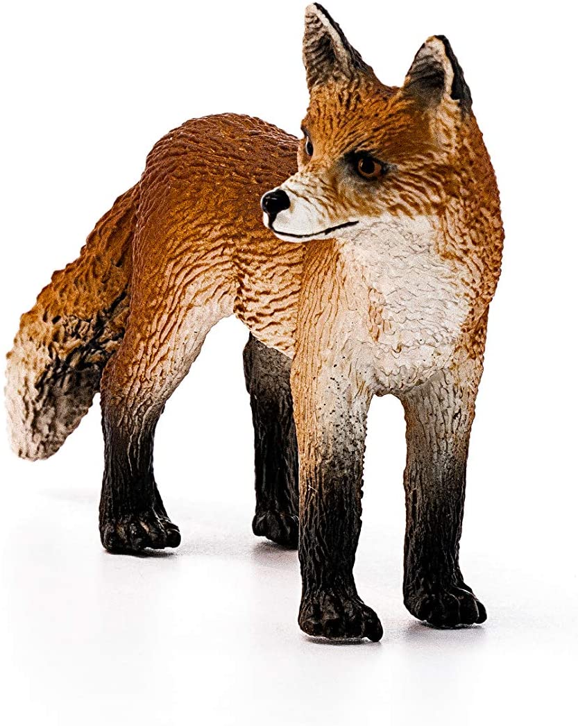 Fox - Image 2