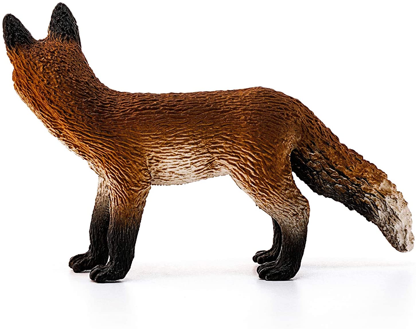 Fox - Image 3