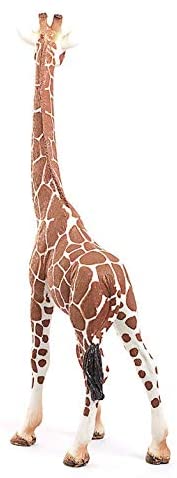Giraffe Female - Image 3