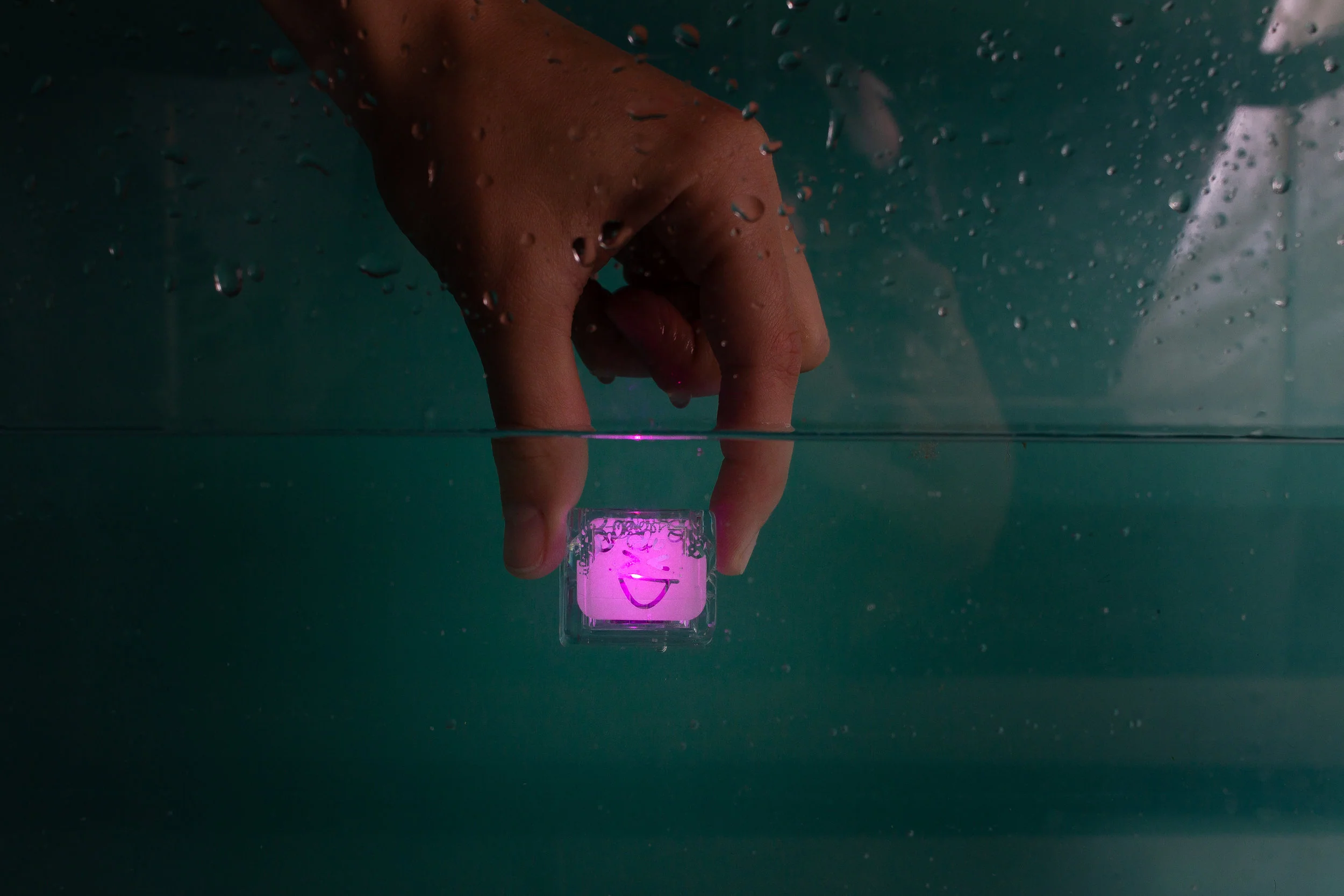 Glo Pals | Purple Lumi - Image 3