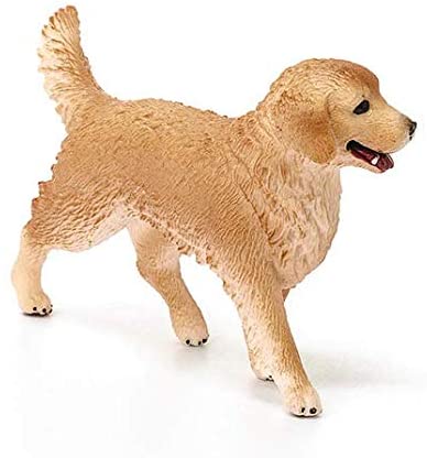 Golden Retriever - Image 3
