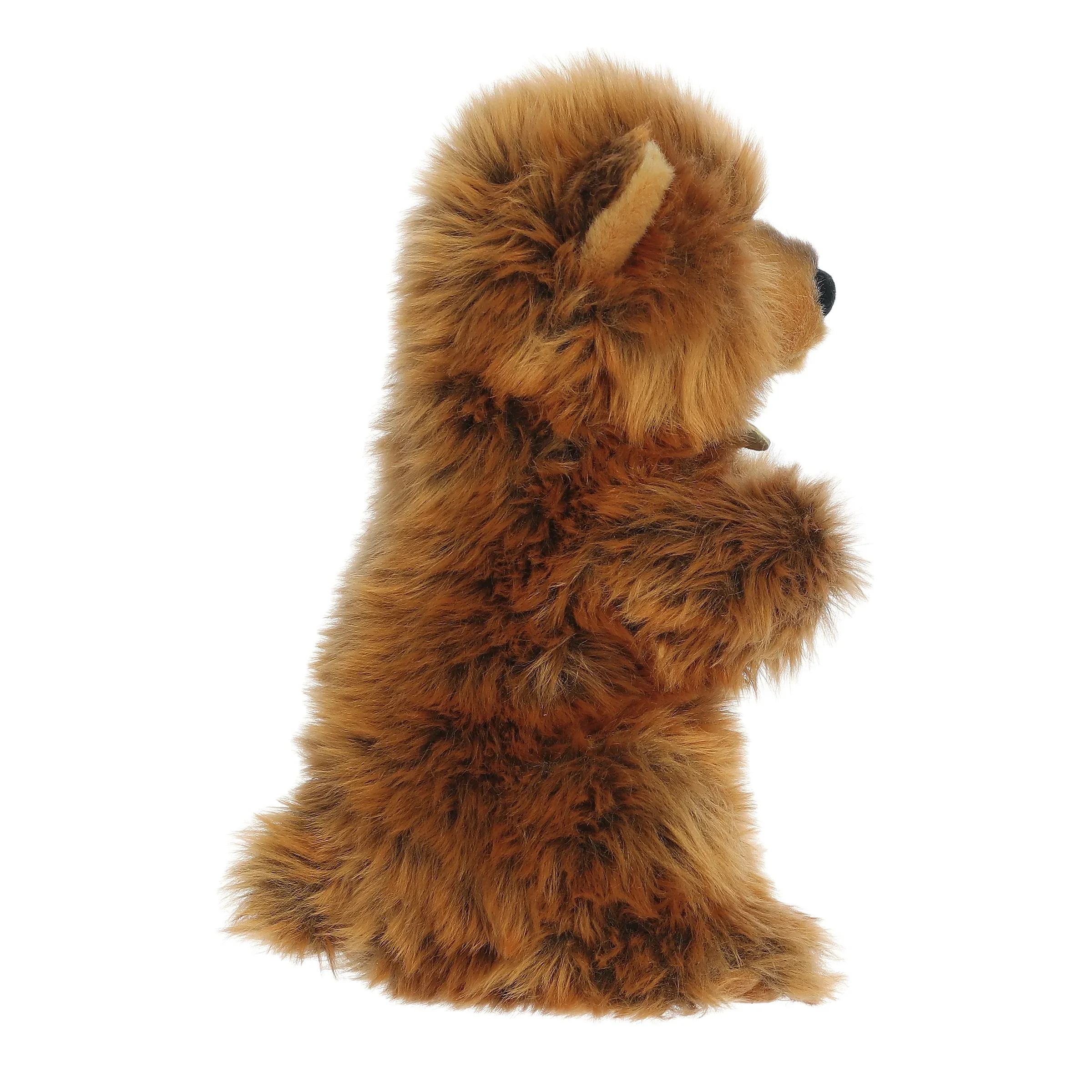 Grizzly Bear Cub Sitting Pretty - Image 2