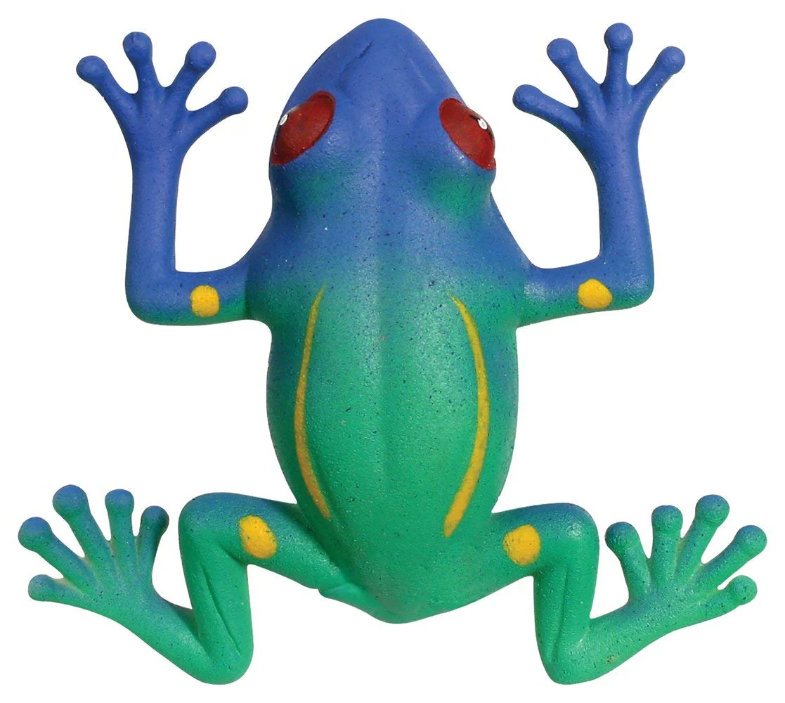 Grow Frog - Image 2