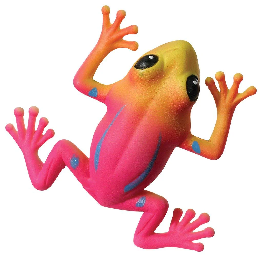Grow Frog - Image 3