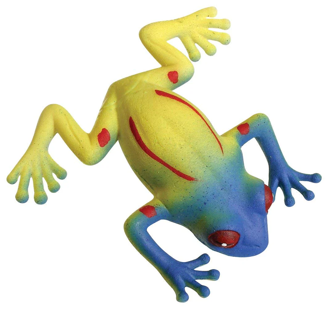 Grow Frog - Image 4
