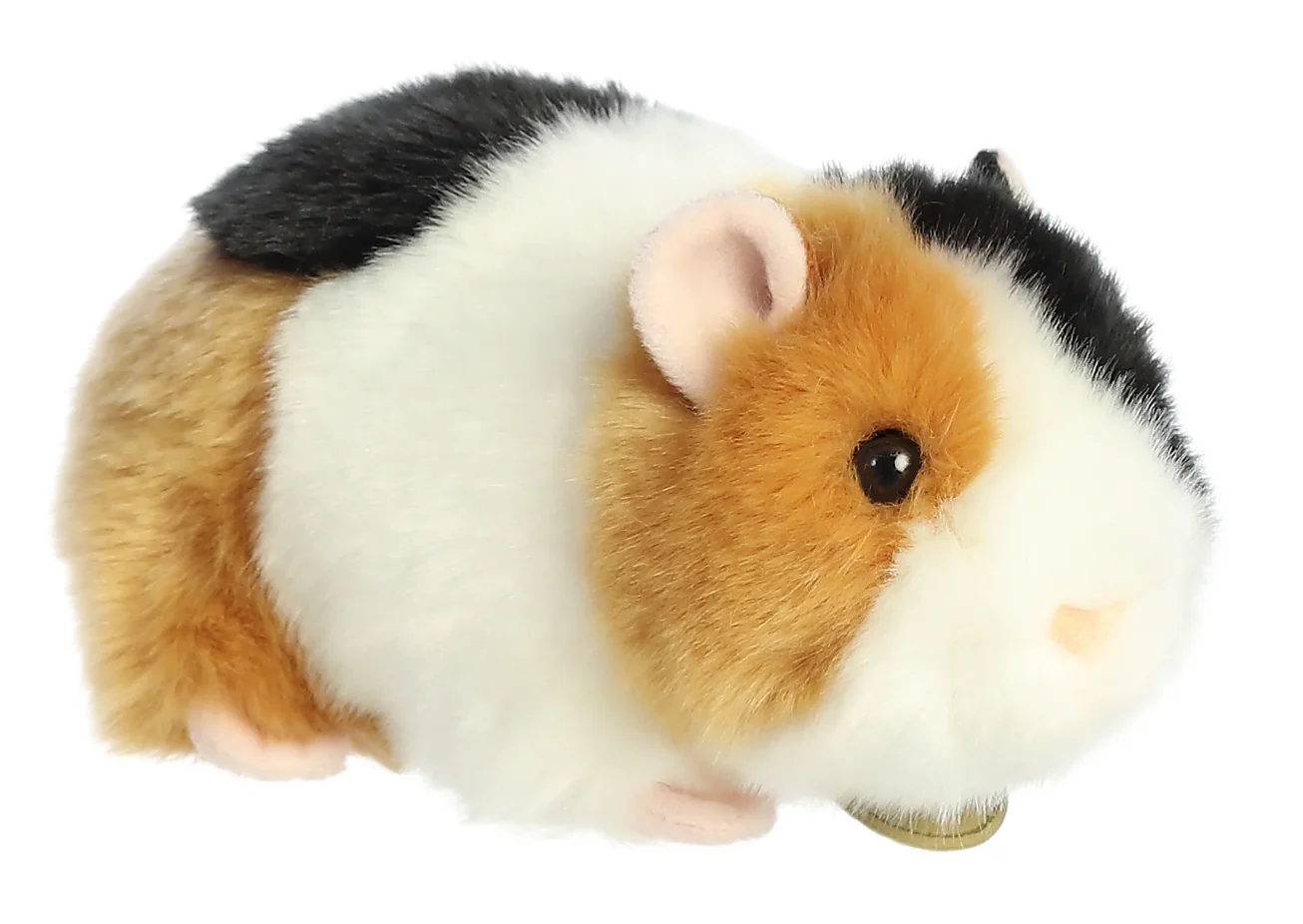 Guinea Pig - Image 2