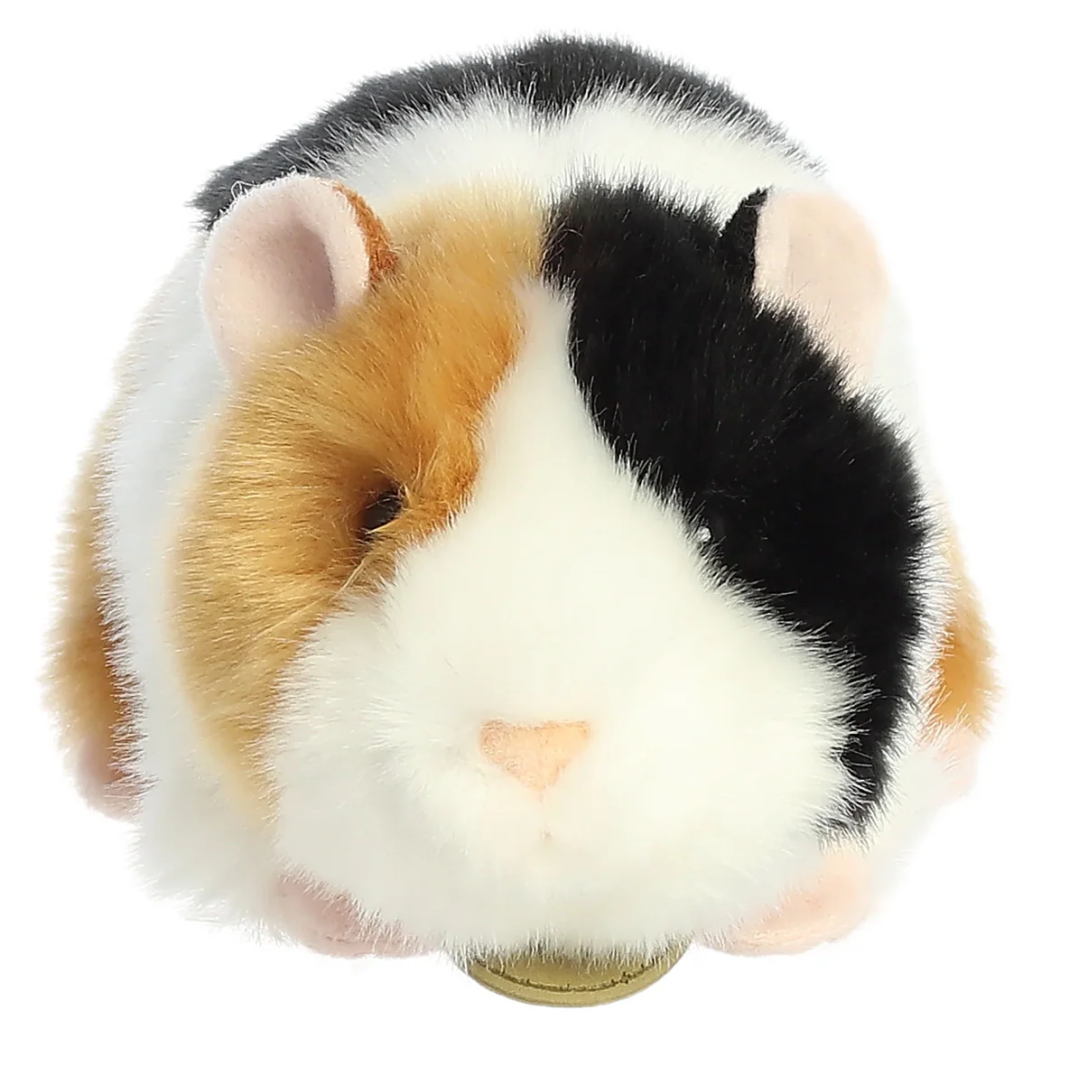 Guinea Pig - Image 3