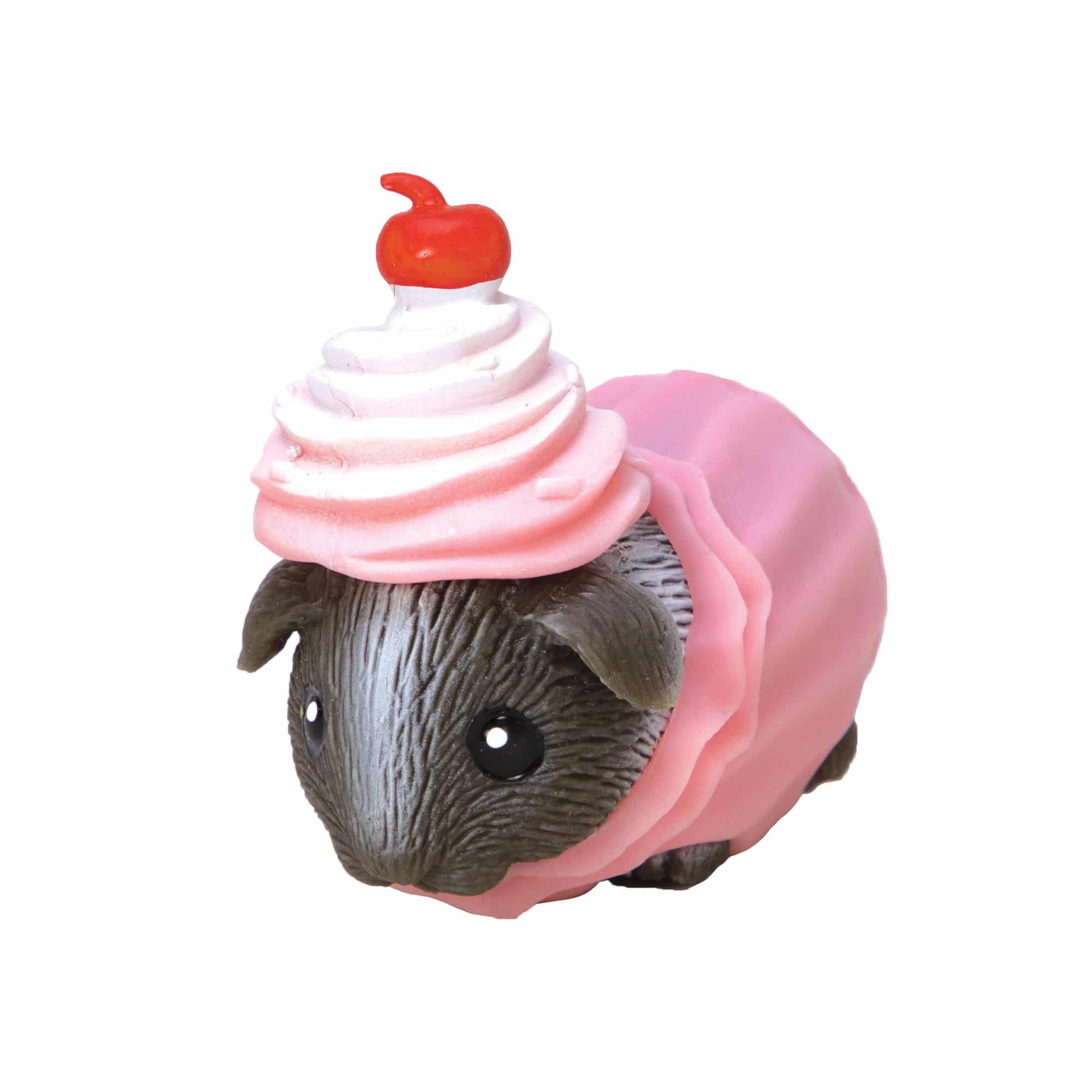 Guinea Pig Party Animal - Image 11