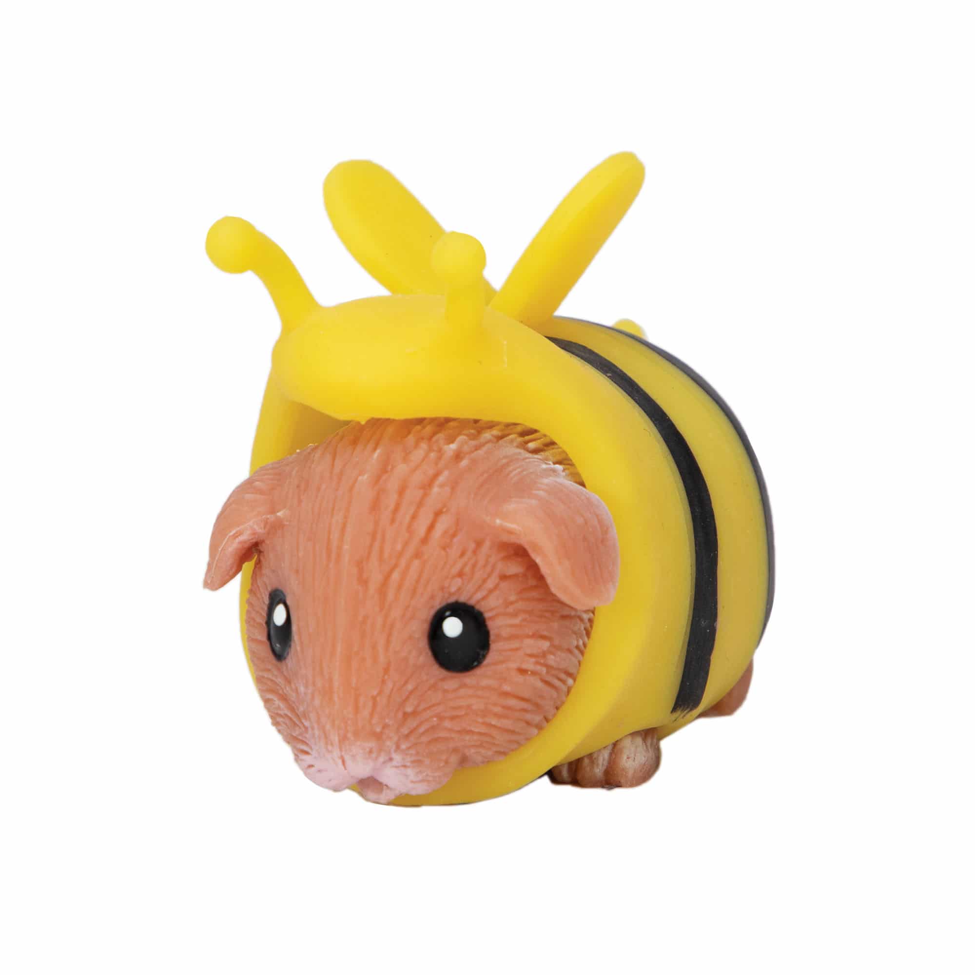 Guinea Pig Party Animal - Image 9