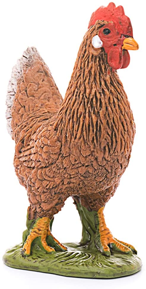 Hen - Image 2