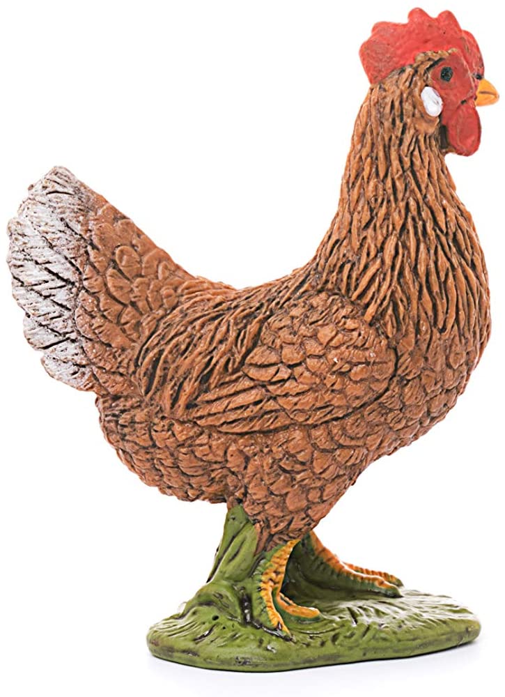 Hen - Image 3