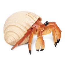 Hermit Crab - Image 3