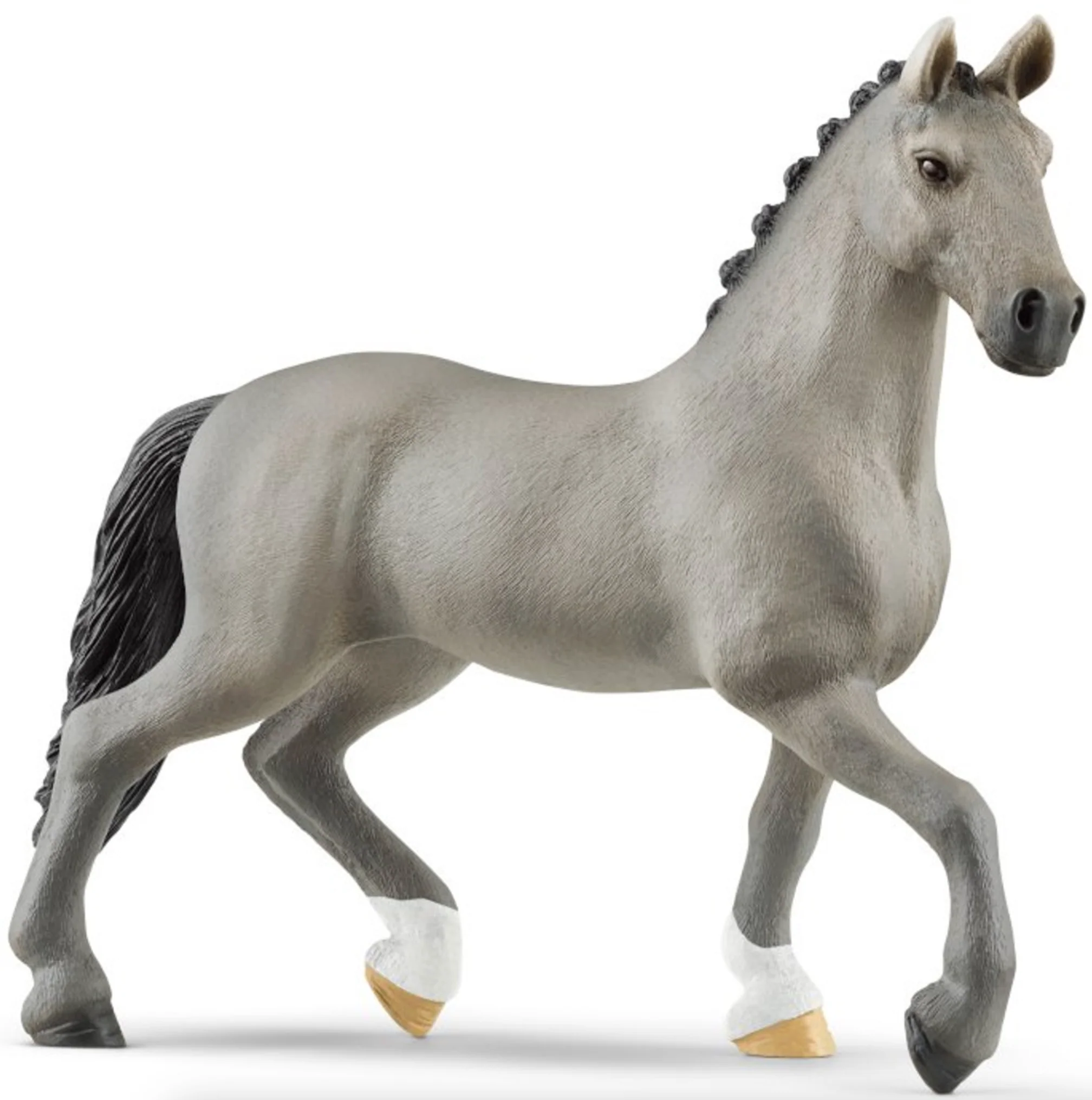Horse Cheval de Selle Francais Stallion