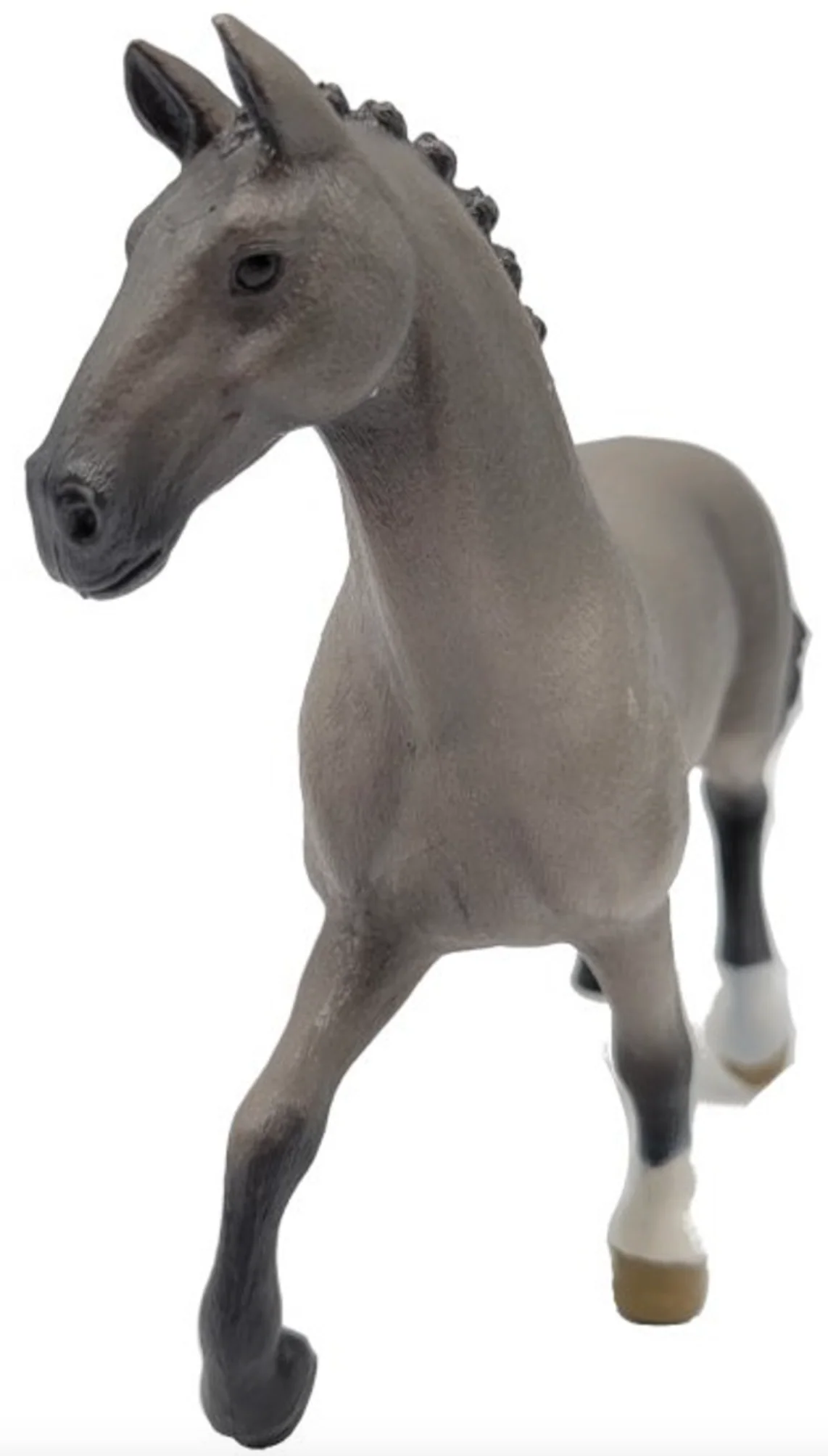 Horse Cheval de Selle Francais Stallion - Image 2