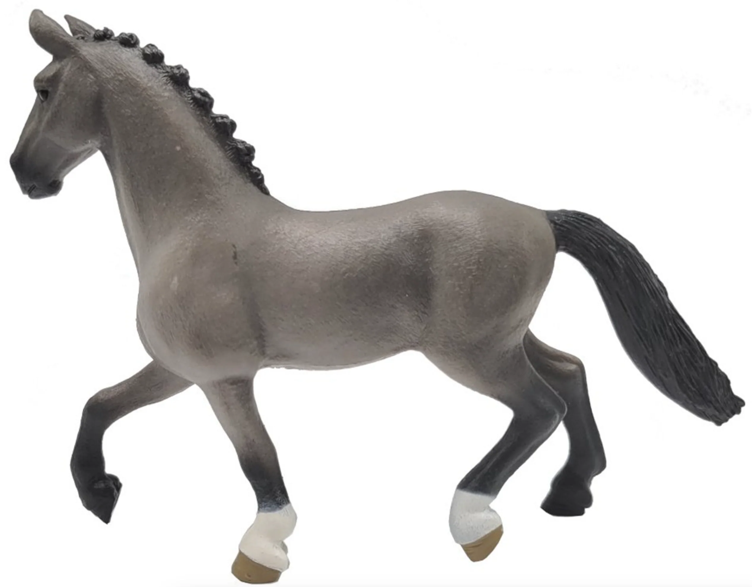 Horse Cheval de Selle Francais Stallion - Image 3