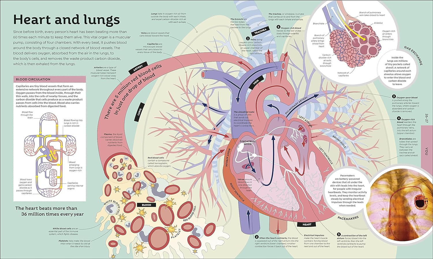 How Everything Works - Image 3