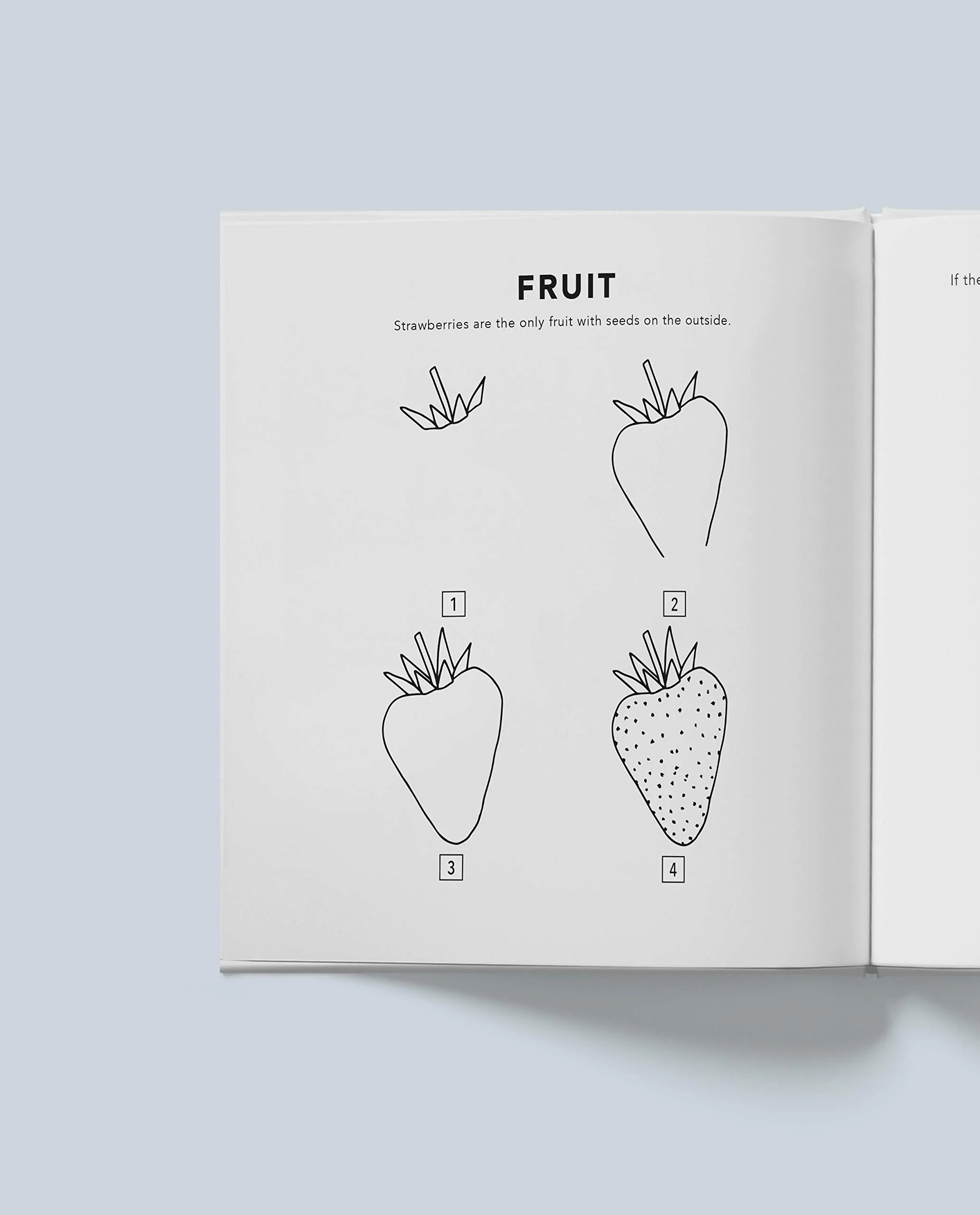 How to Draw All the Things - Image 5