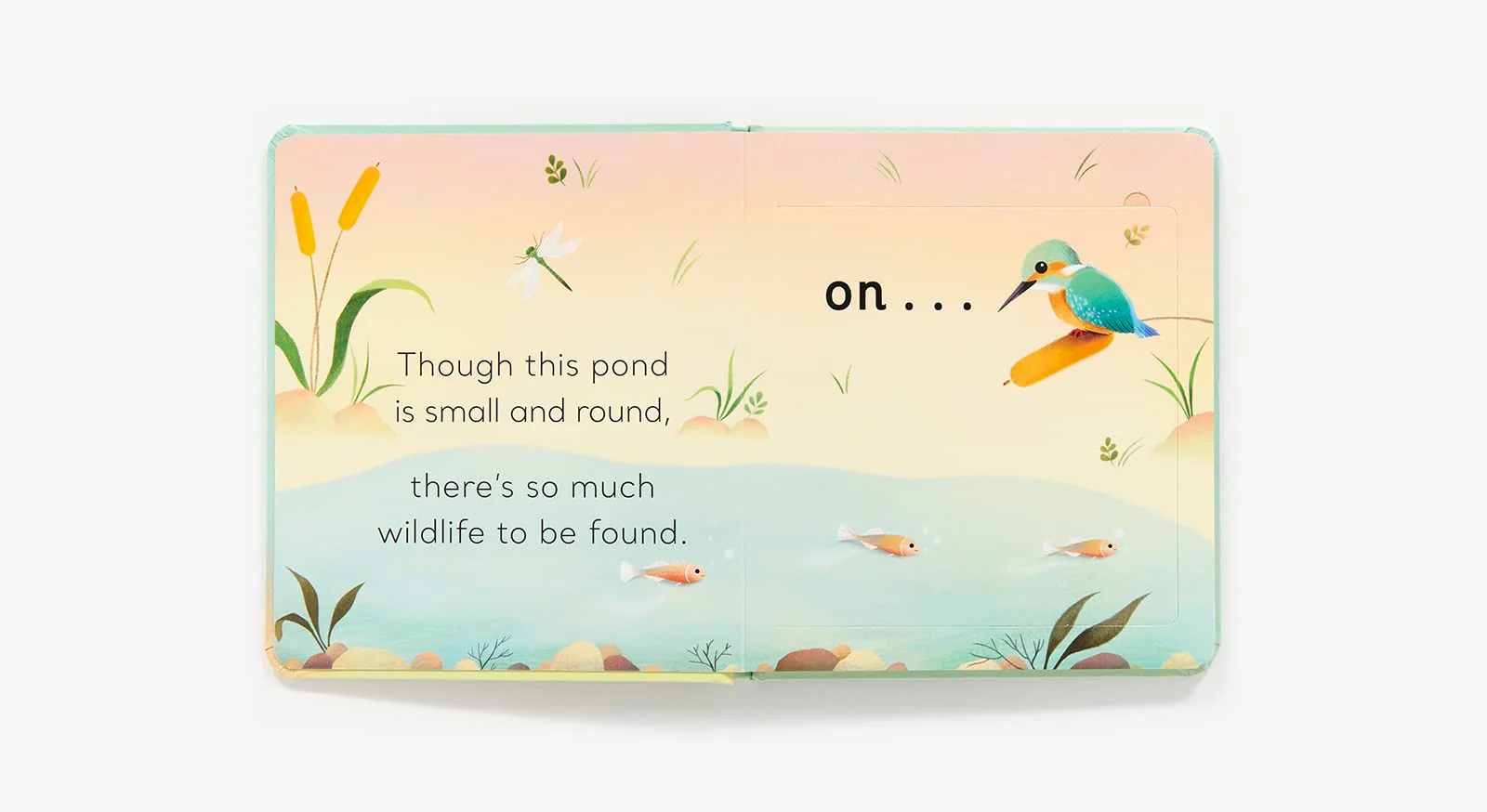In the Pond Lift the Flap - Image 3