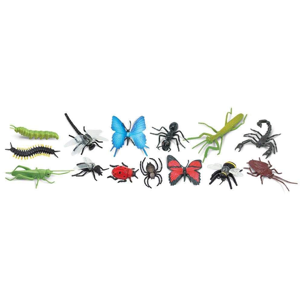 Insects!