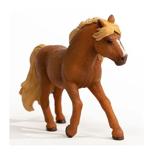 Island Pony Stallion - Image 2