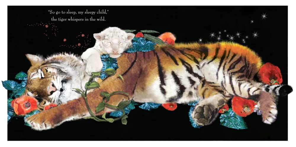 It's Time to Sleep My Love - Image 3