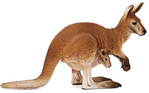 Kangaroo & Joey - Image 2