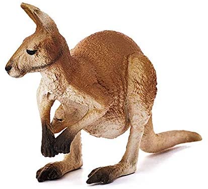 Kangaroo & Joey - Image 3