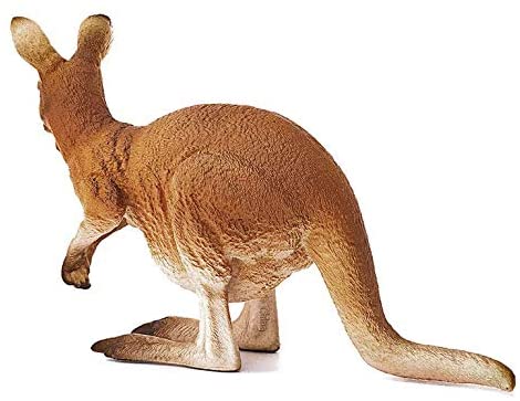 Kangaroo & Joey - Image 4