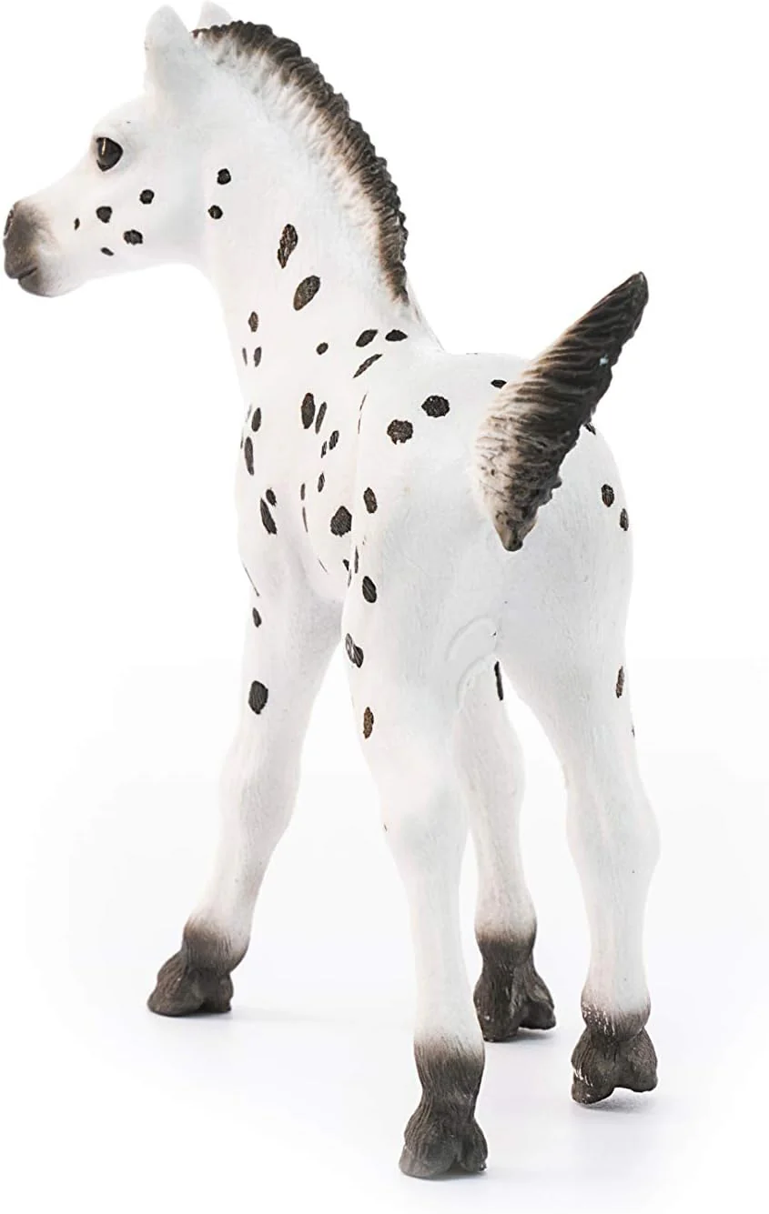 Knapstrupper Foal Horse - Image 4