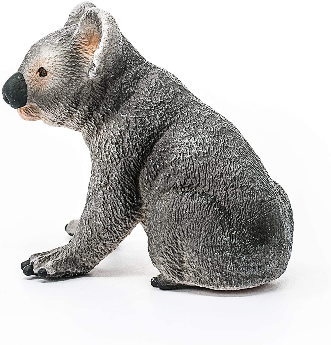 Koala - Image 3