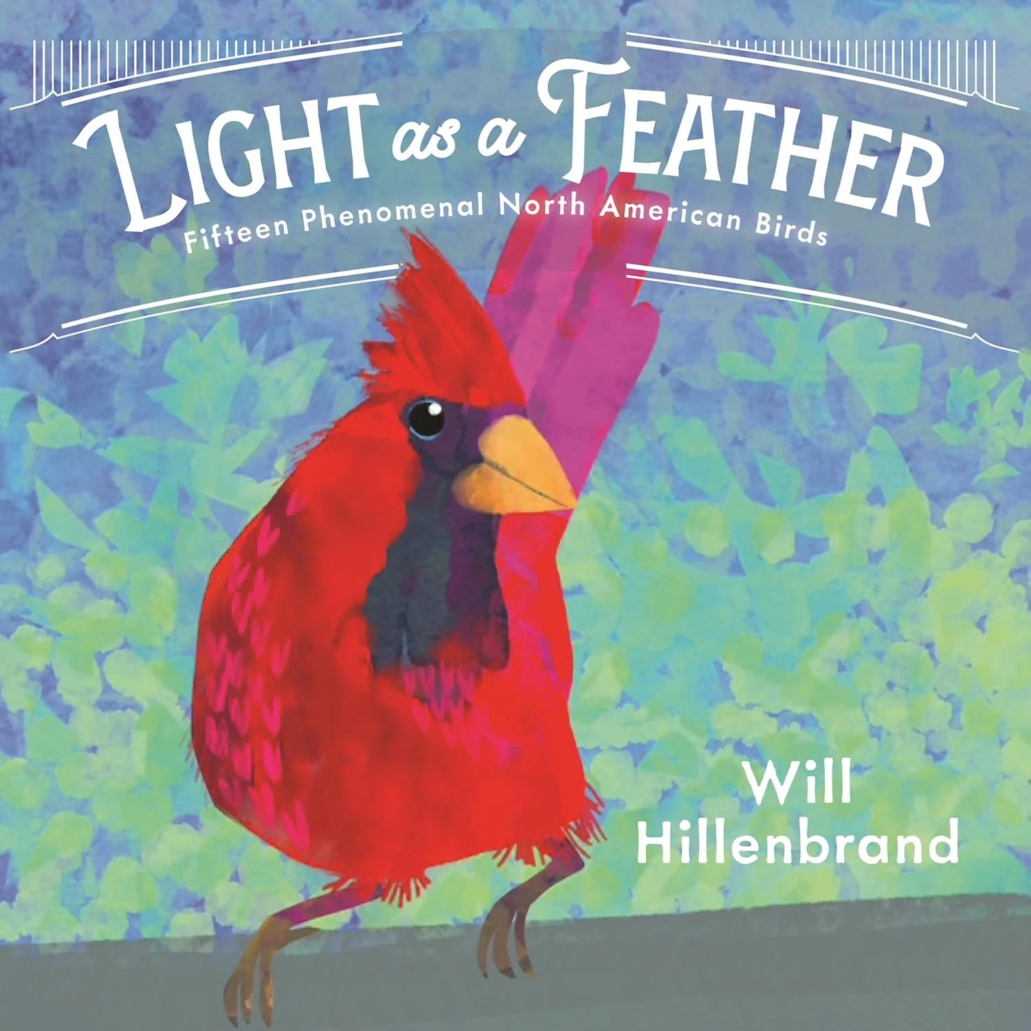 Light as a Feather: 15 Phenomenal North American Birds