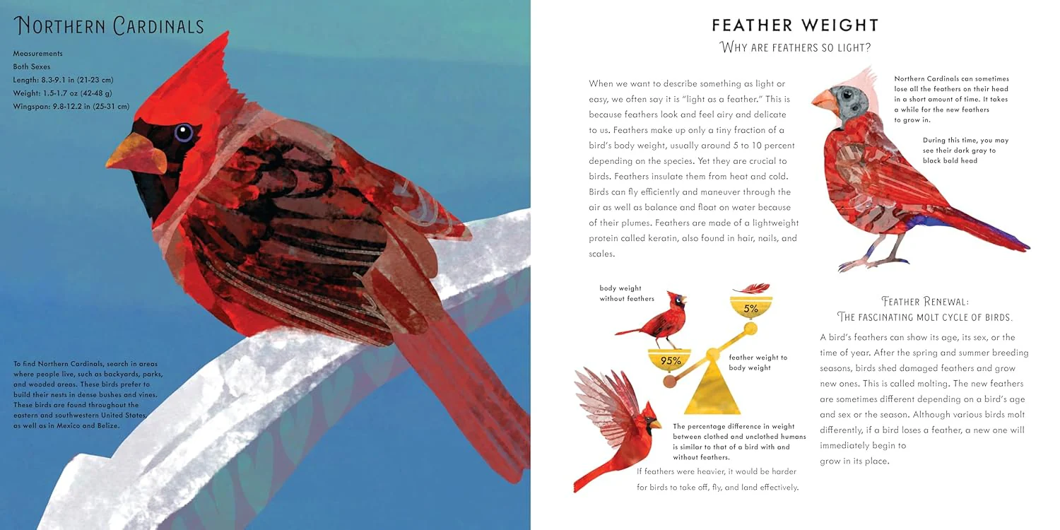 Light as a Feather: 15 Phenomenal North American Birds - Image 2