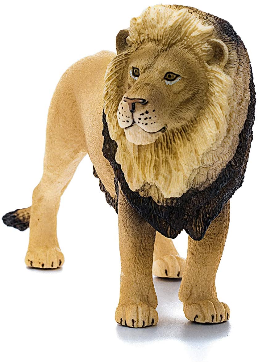 Lion - Image 2