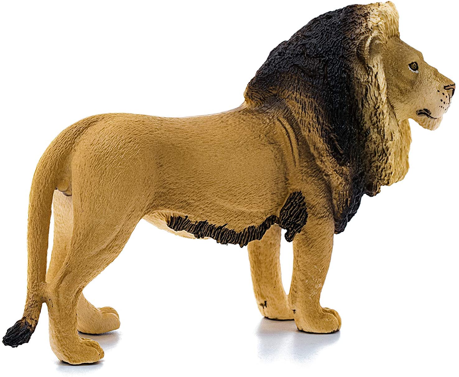 Lion - Image 3