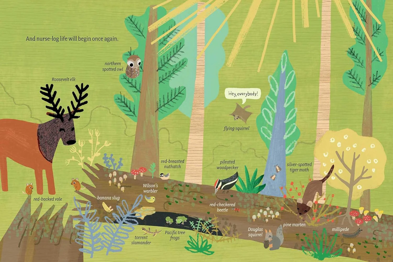 Log Life - Image 3