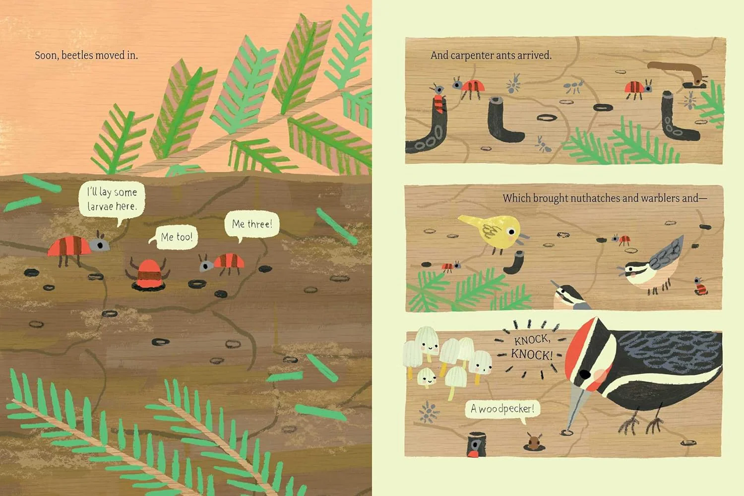 Log Life - Image 4
