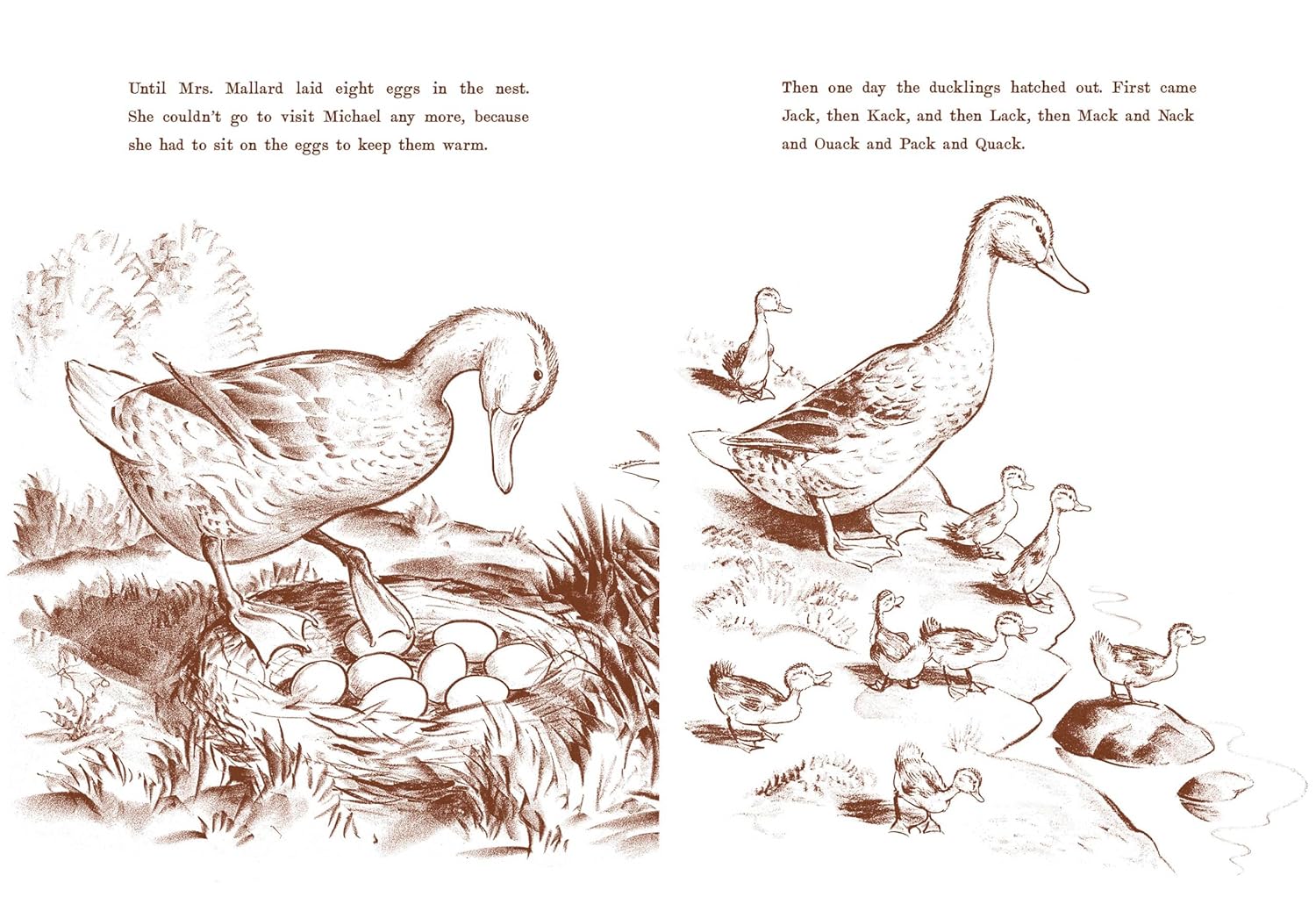Make Way for Ducklings - Image 2
