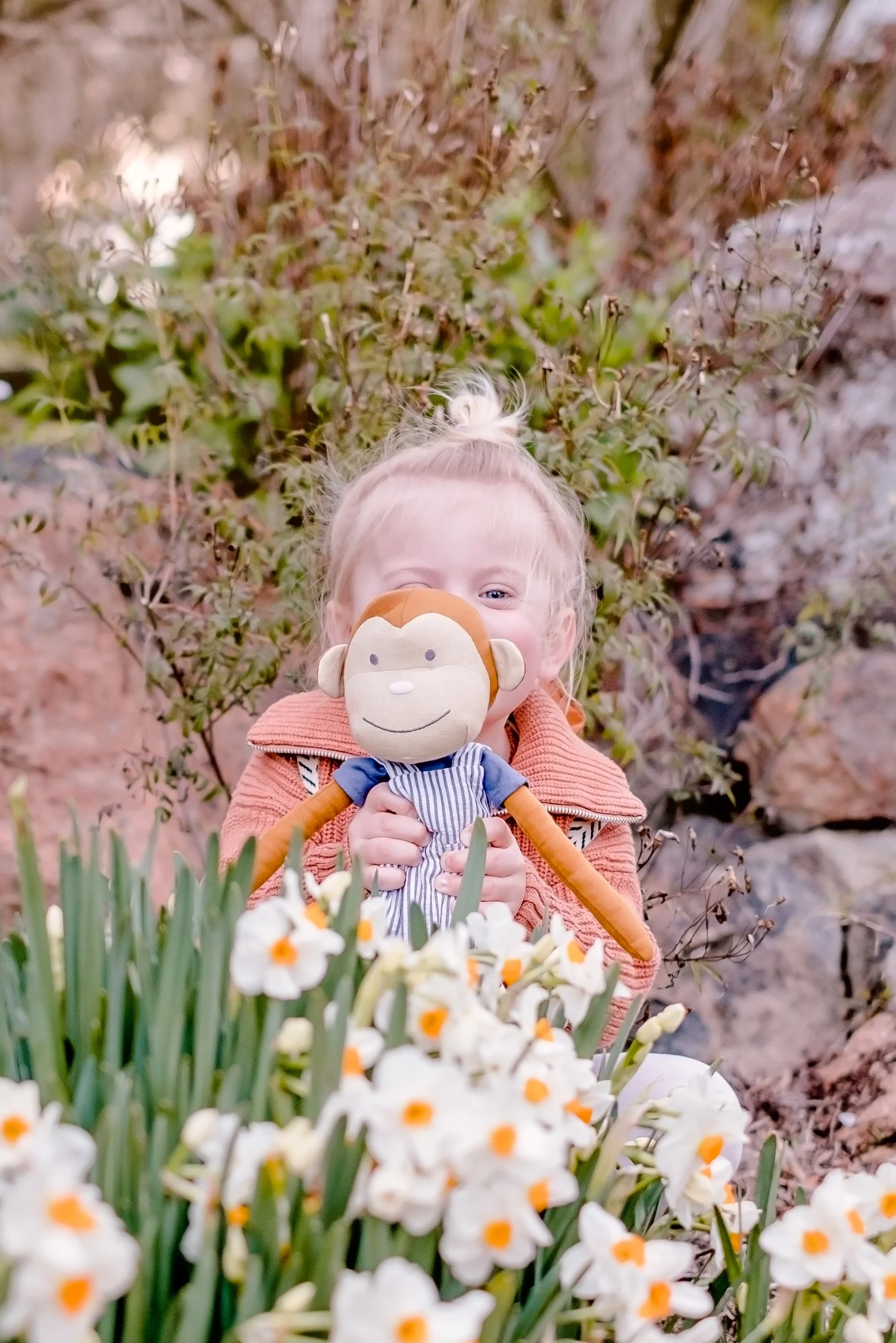 Mateo the Monkey - Image 2
