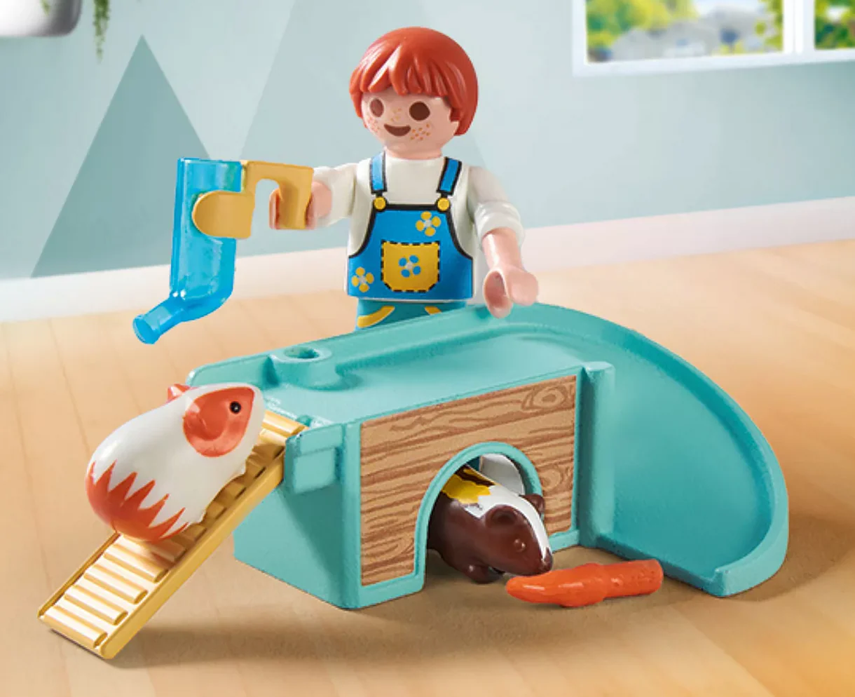 My Life | Guinea Pig House - Image 3