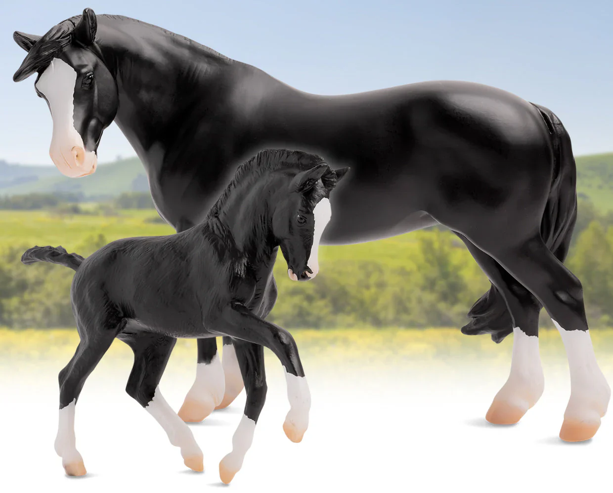 Nistar Blazing Kansas LOM & GTF Blazing Ethel - Image 4