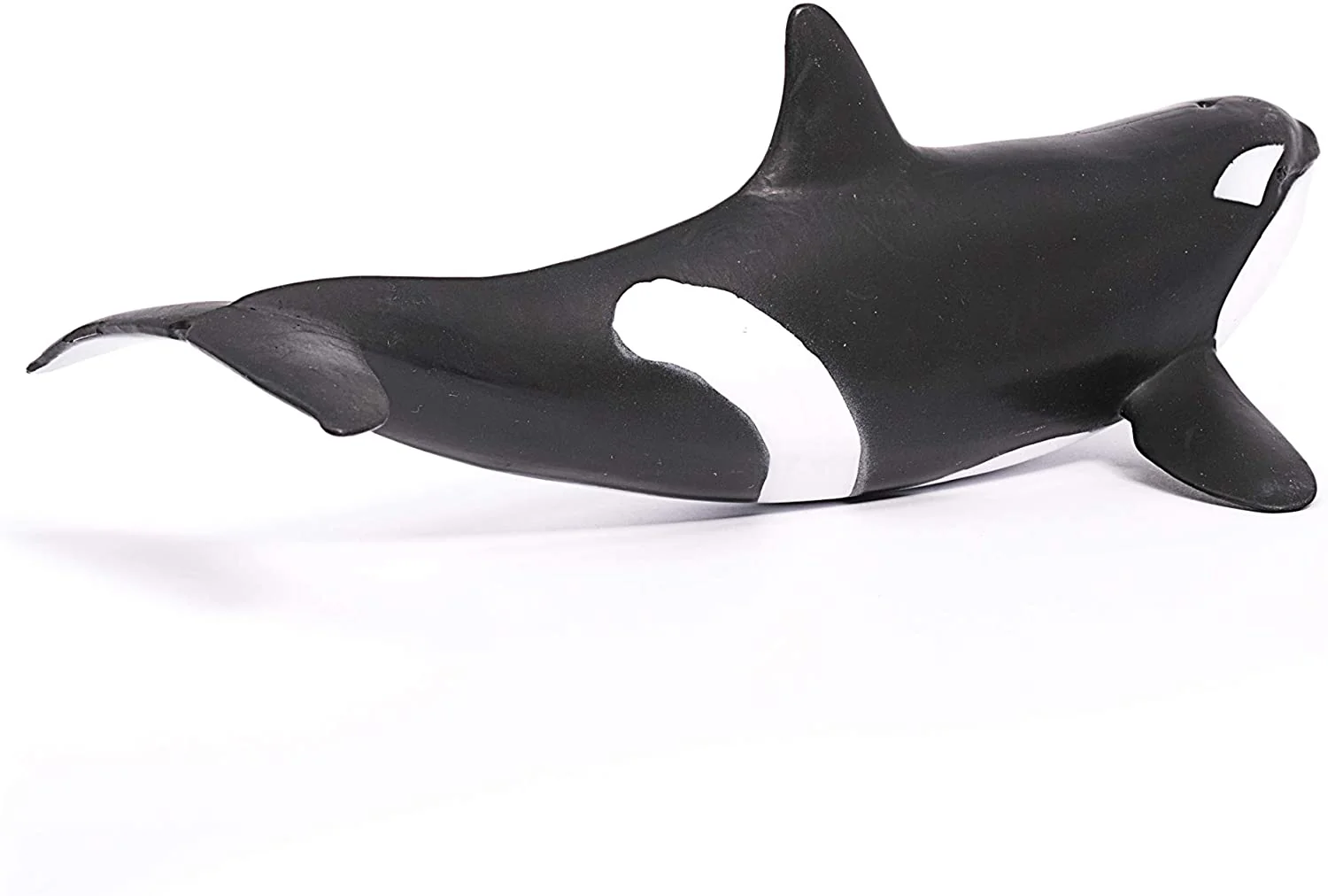 Orca Whale - Image 2