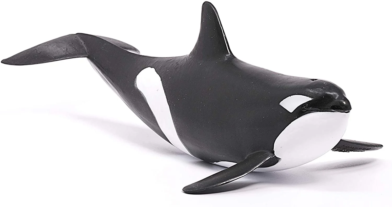 Orca Whale - Image 3