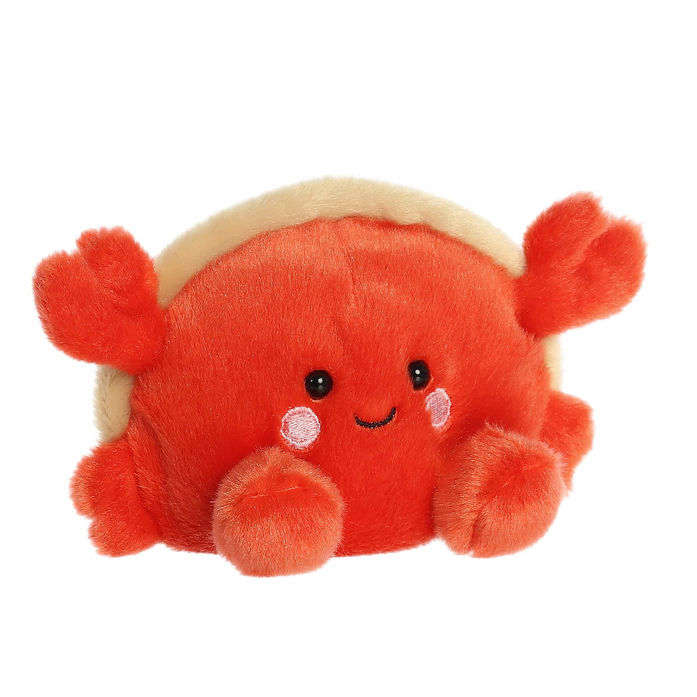 Palm Pals Hermit Crab Tide - Image 2