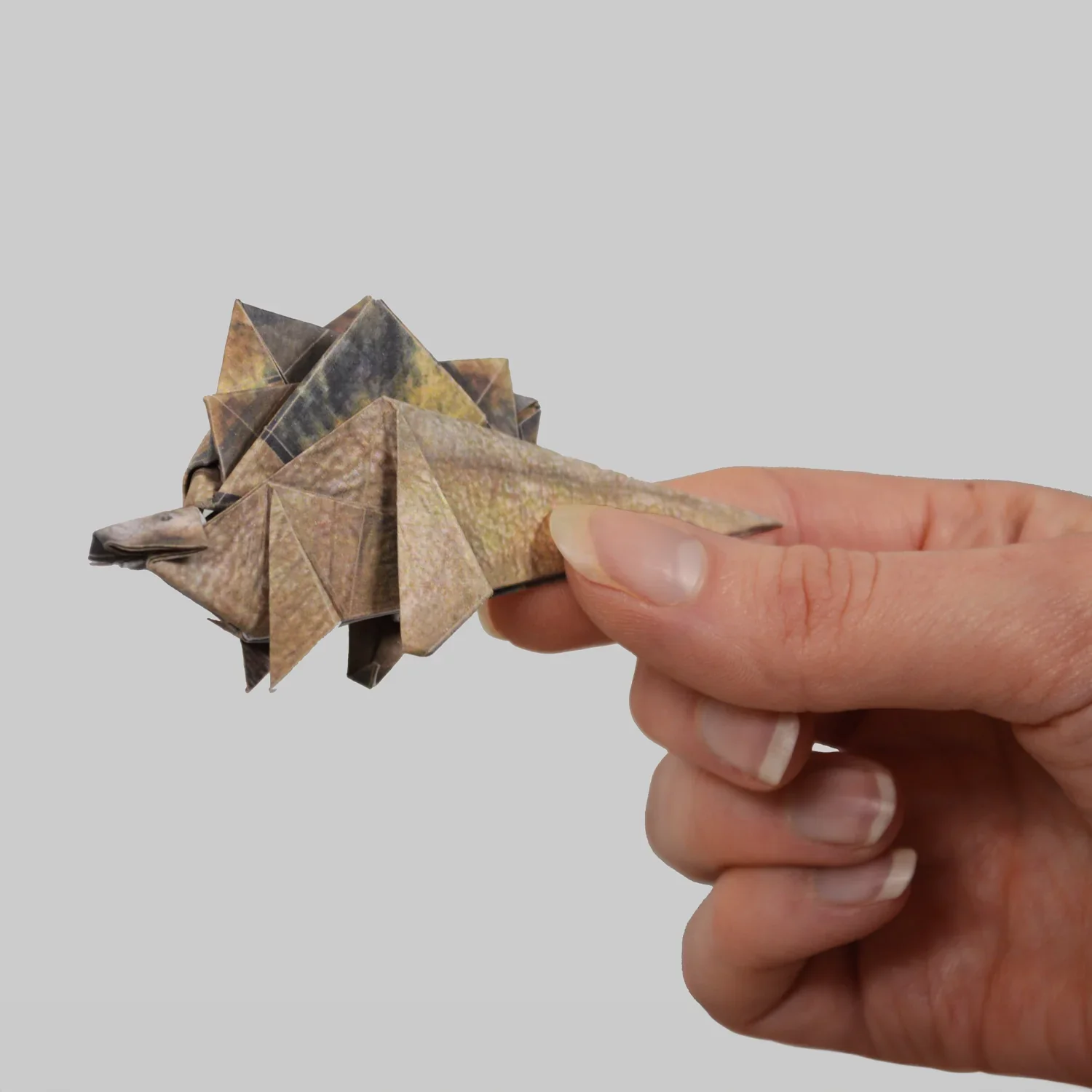 Paper Dinos - Image 2