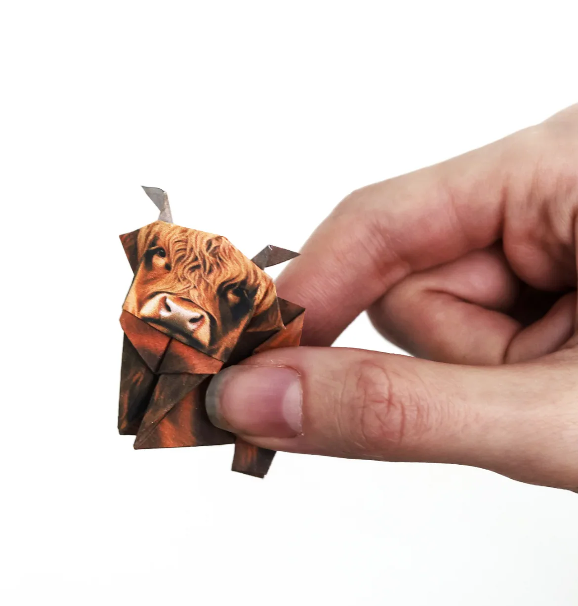 Paper Highland Cows - Image 2